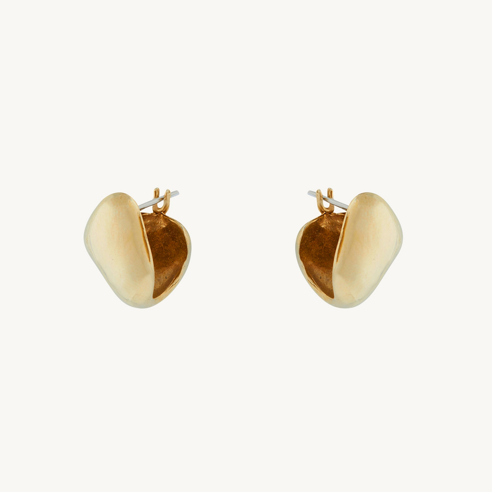 Chub Hoops (Pair)