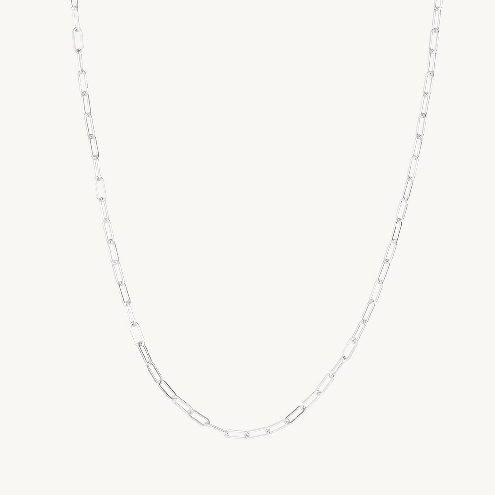 1976 Silver Chain