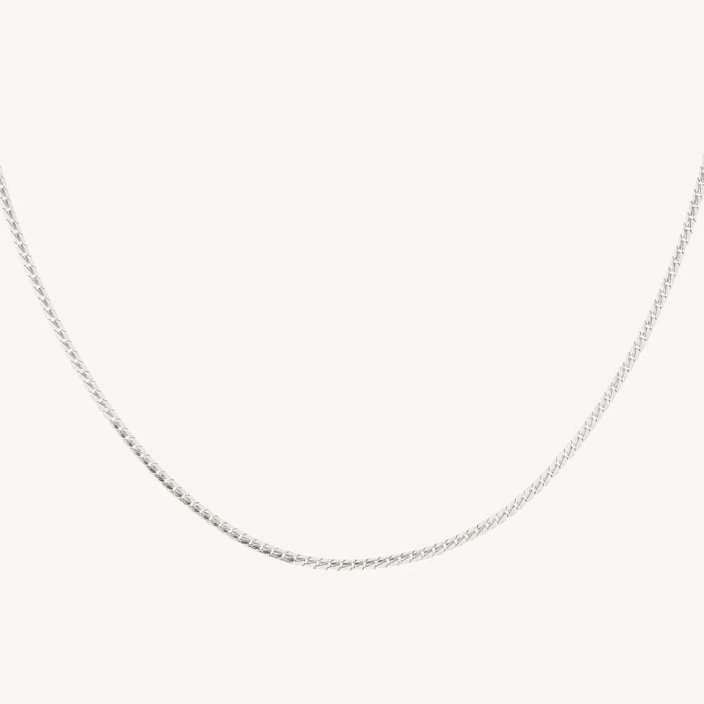 Swimming Pool Collar, Silver