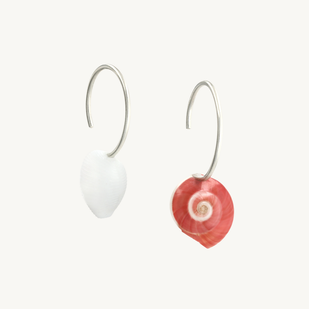 Small Seashell Earrings (Pair)