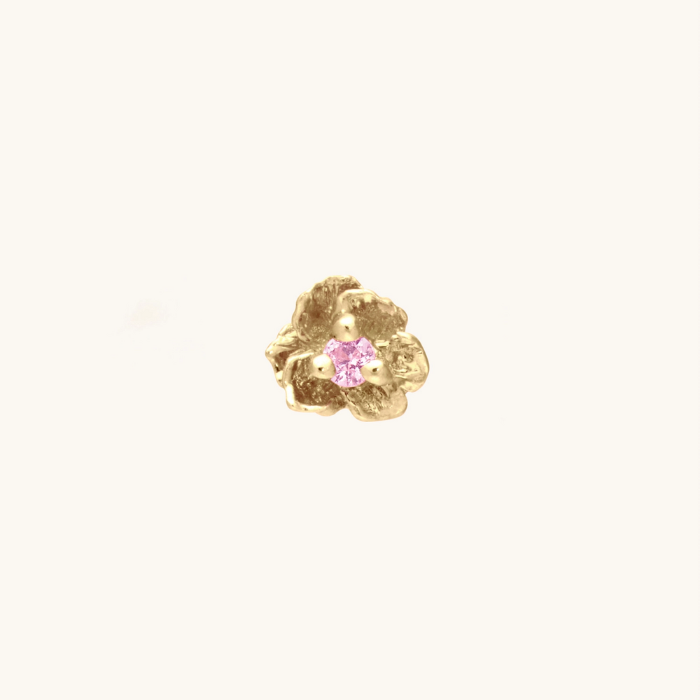 Pansy