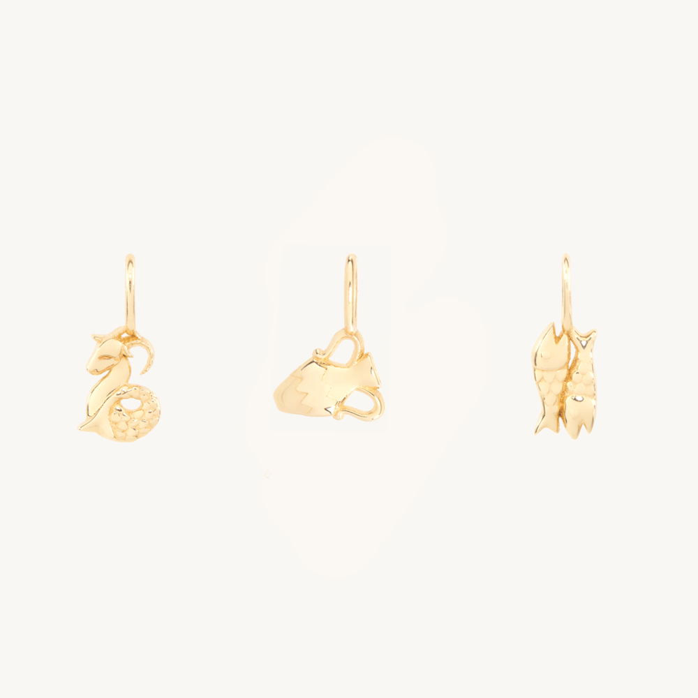 Tiniest Zodiac Charm